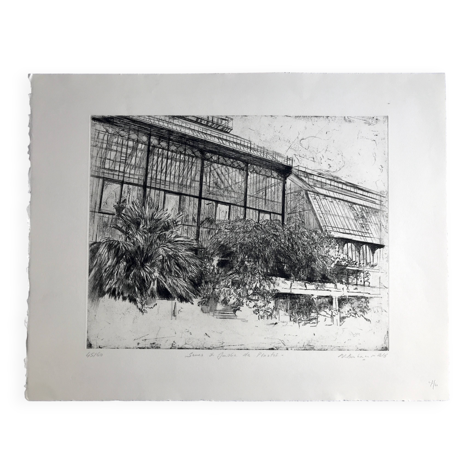 Nicole BOUHARMONT, Greenhouses and Botanical Gardens. Drypoint signed in chalk