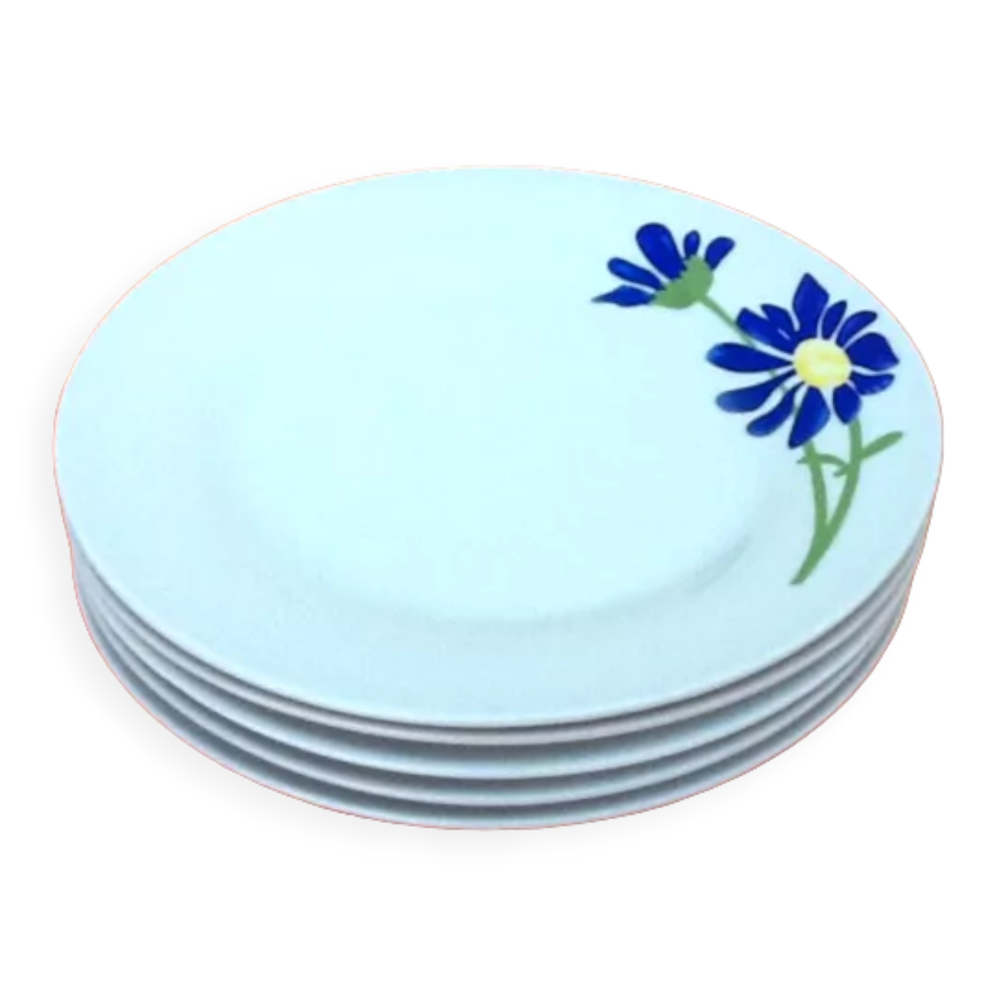 5 porcelain plates with floral decoration