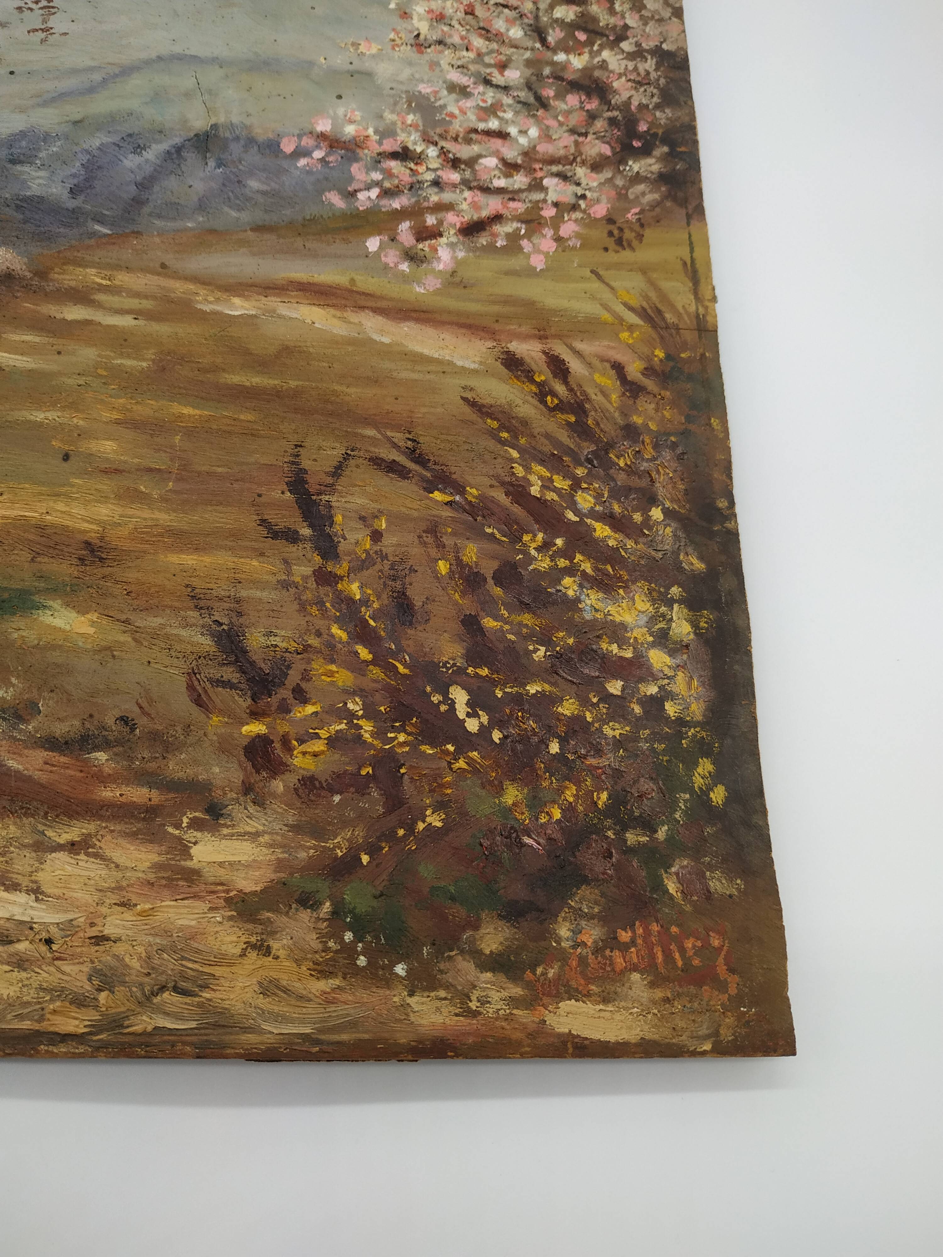 Apple trees in blossom oil on panel