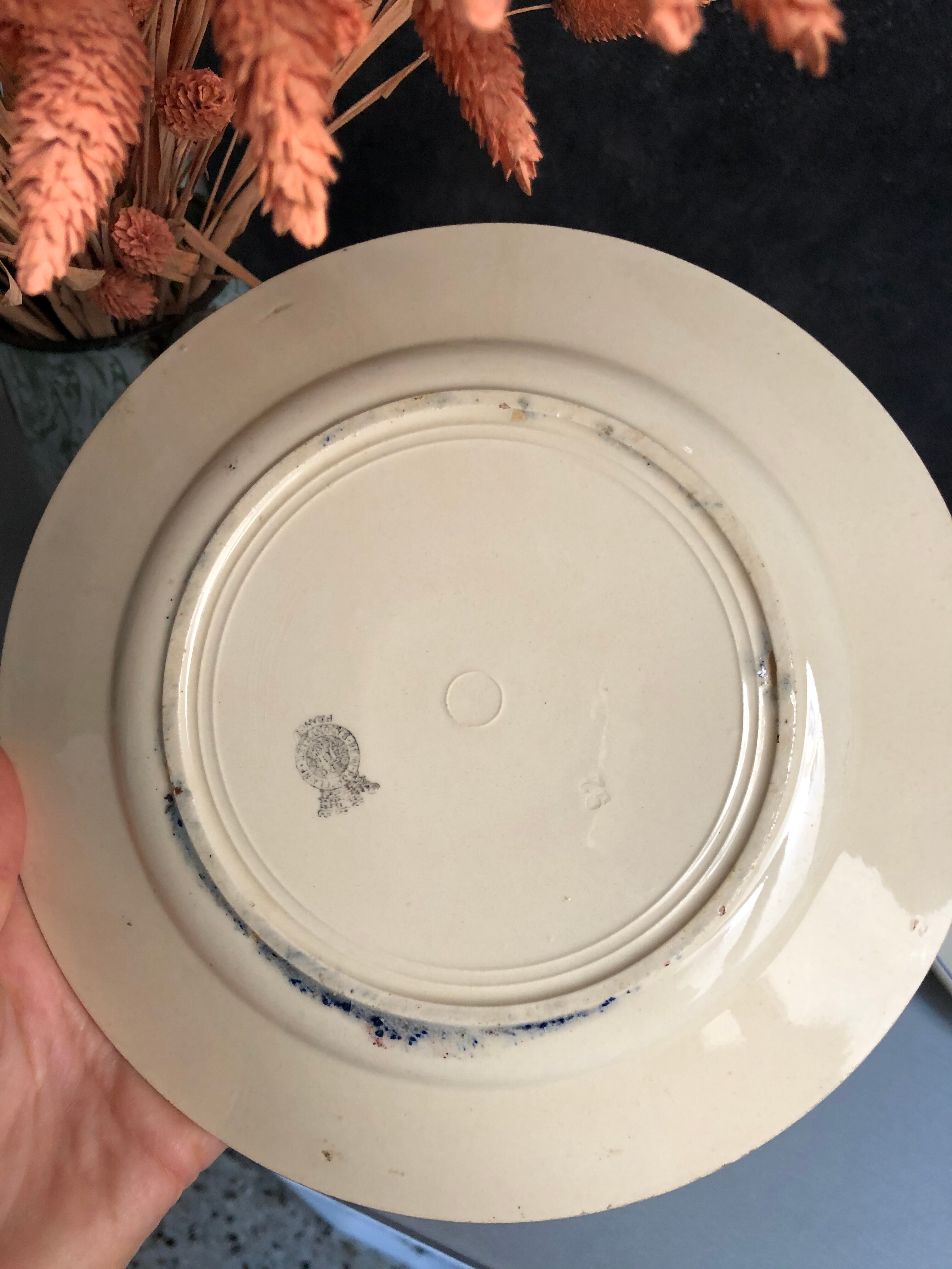 Badonviller Porecelaine Dessert Plates