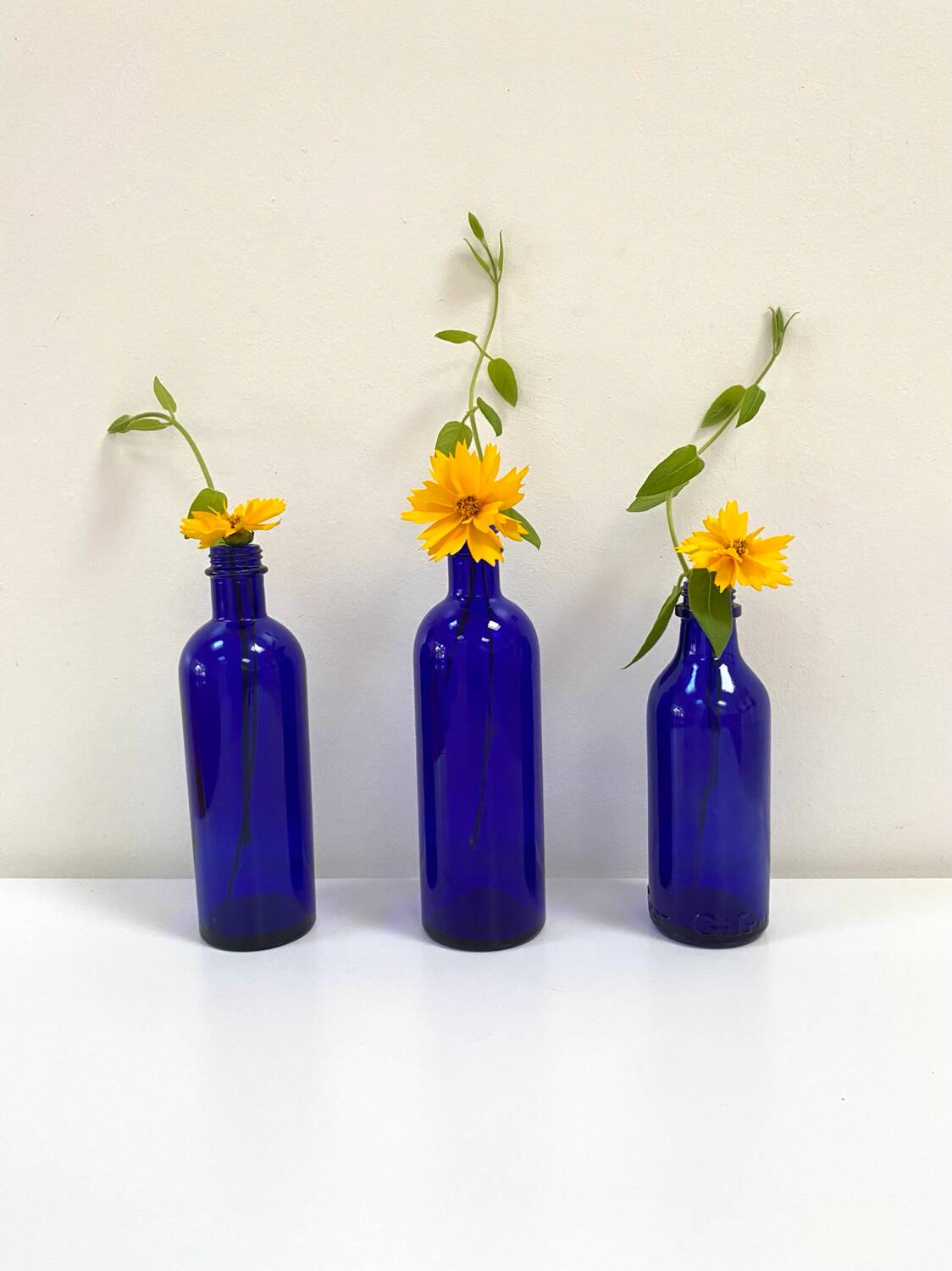 Cobalt Blue Glass Bottle/Vase Trio