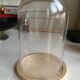 Presentation glass bell