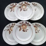 6 Assiettes plates en faïence de St Amand  Modèle 4004