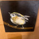 Bird painting - oil