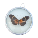 Mini cadre rond papillon