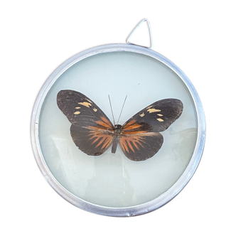 Mini cadre rond papillon