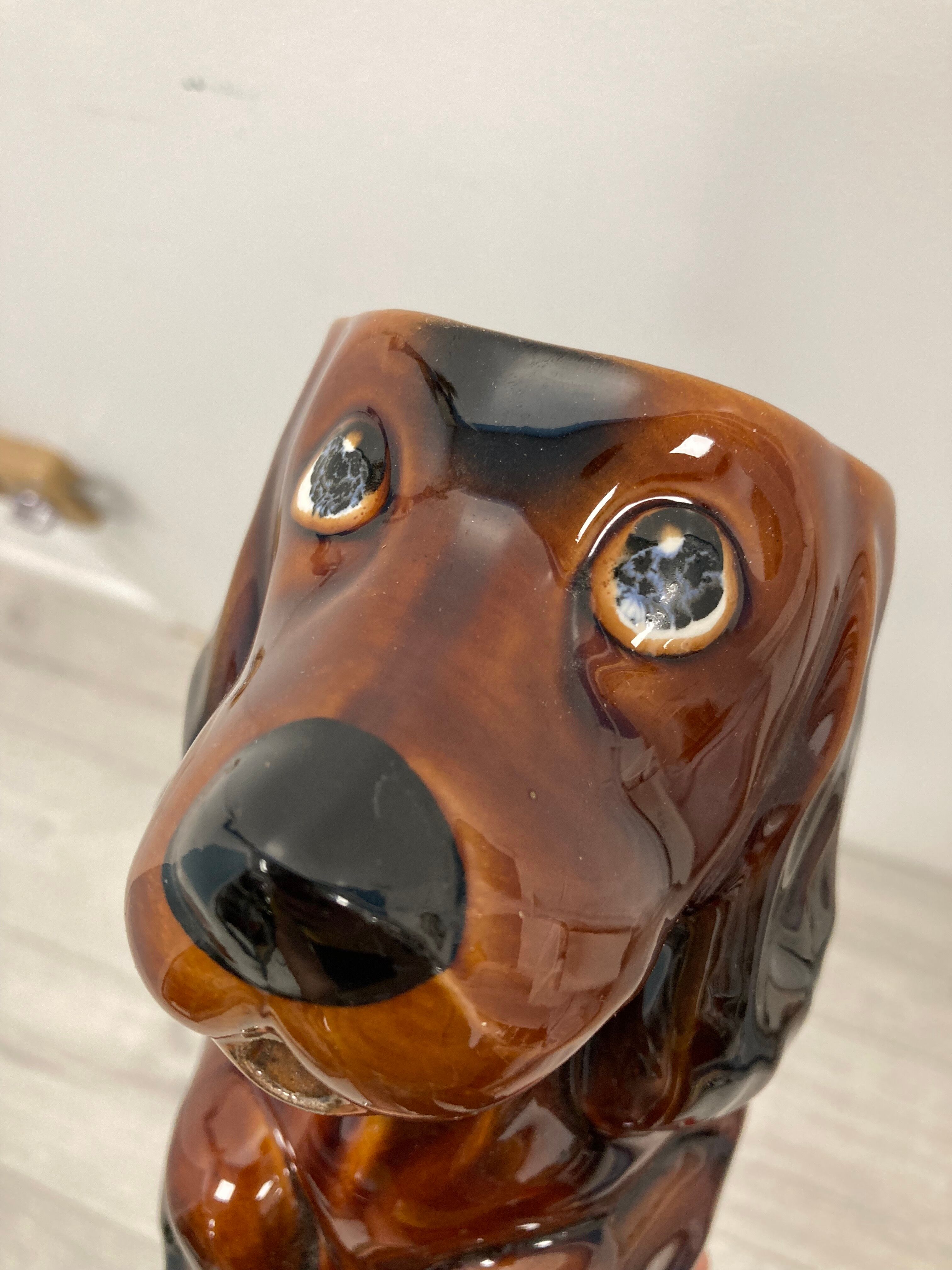 Pichet Dachshund Saint-Clément