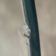 Table basse verre et acier