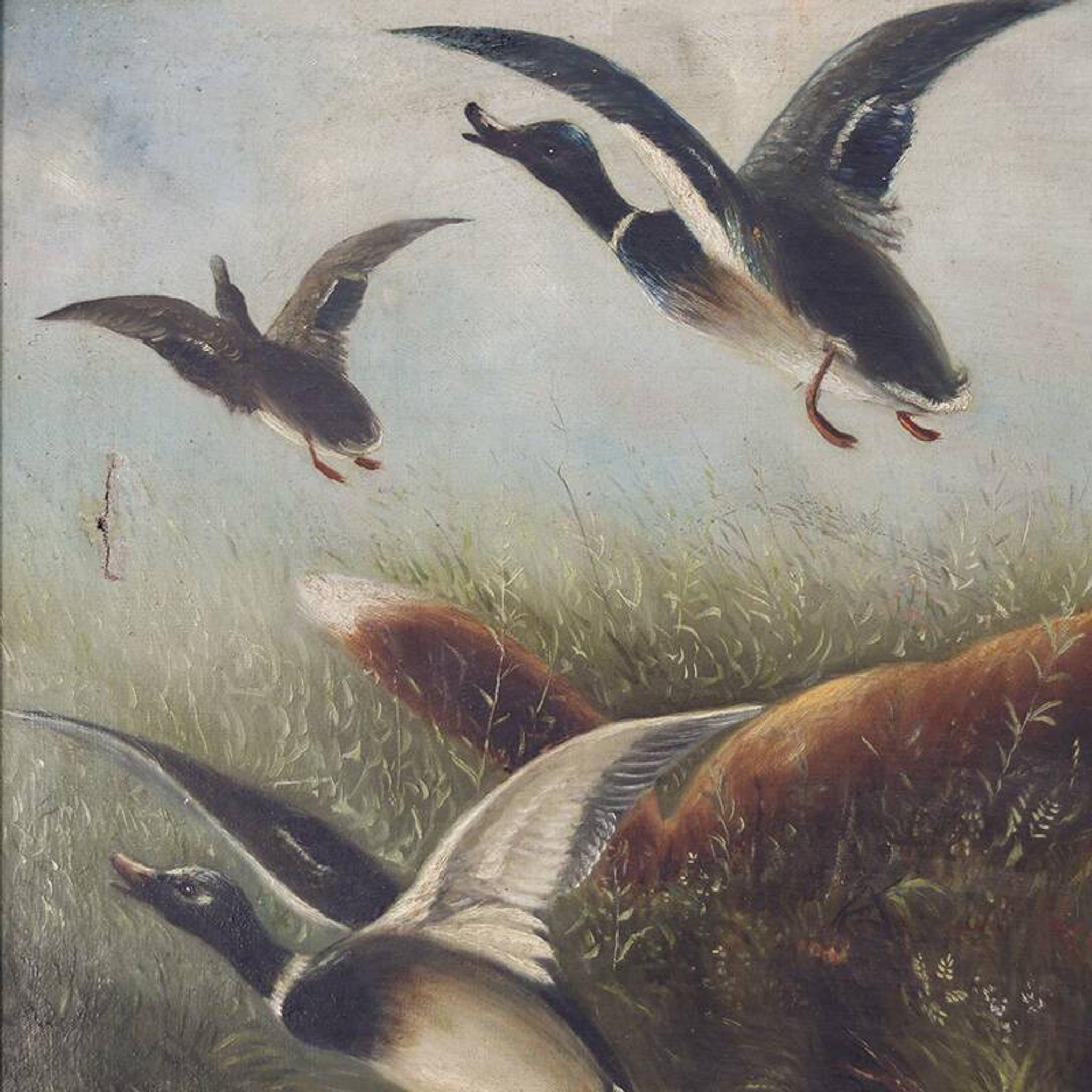 Peinture anglaise antique décorative de renard et canards