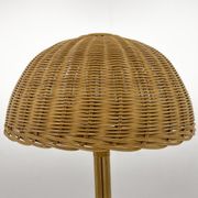 1980's Rattan Floor Lamp, Czechoslovakia