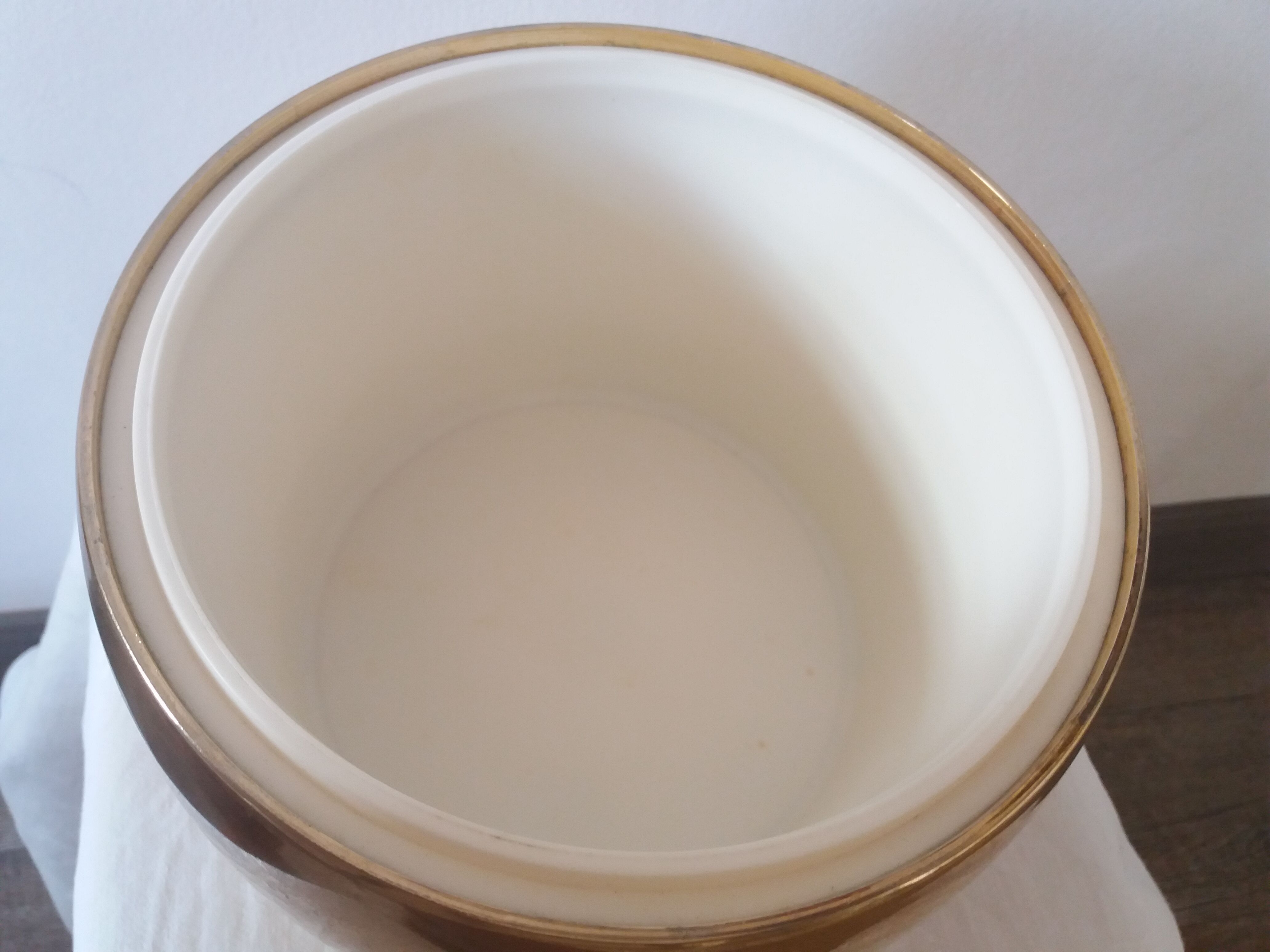 Apple Golden ice Turnwald international Collection