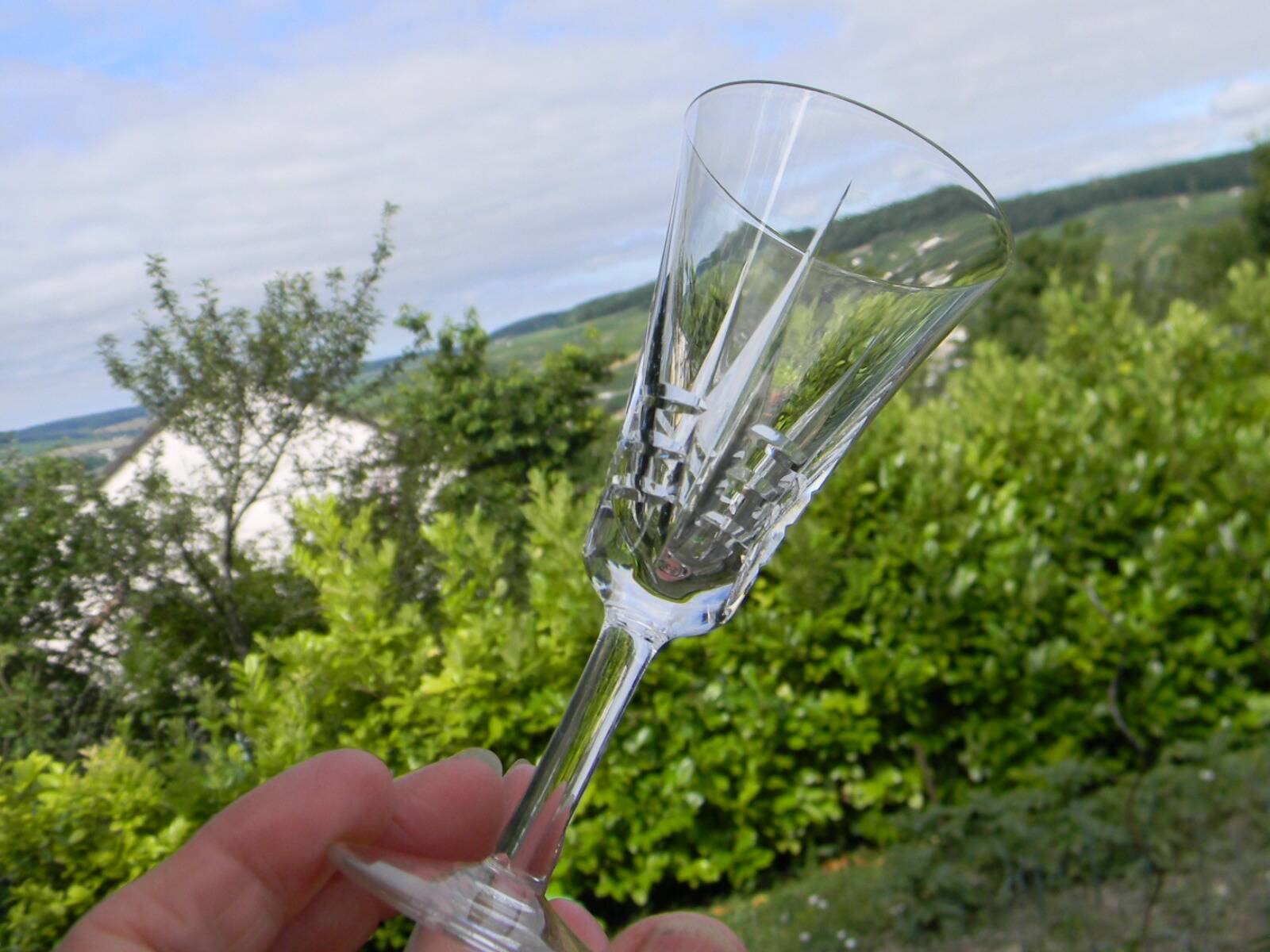 Set of 10 VILLEROY ET BOCH crystal liqueur glasses. Concorde model.