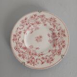 Antique plate in ironstone