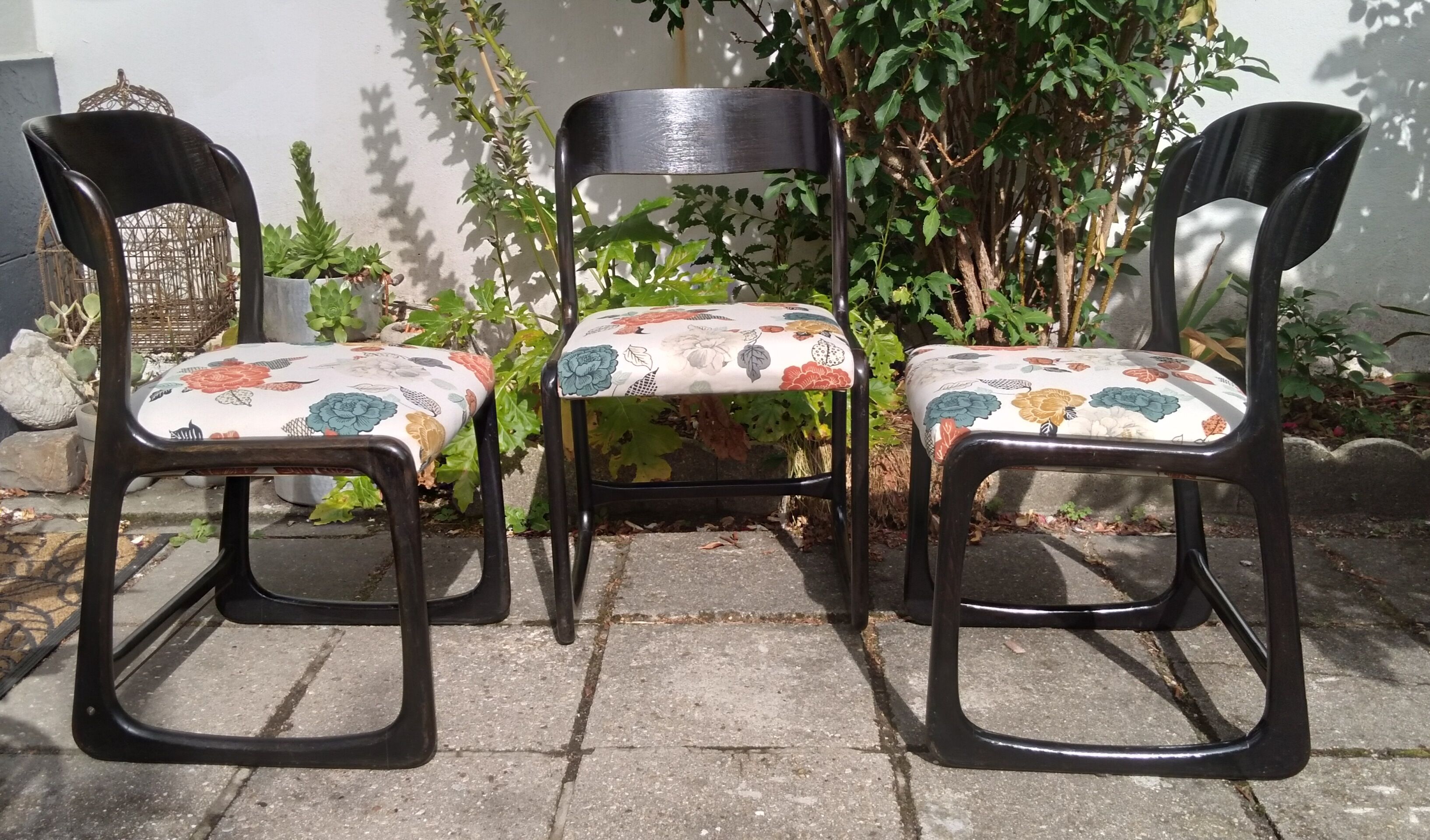 Baumann sled chairs