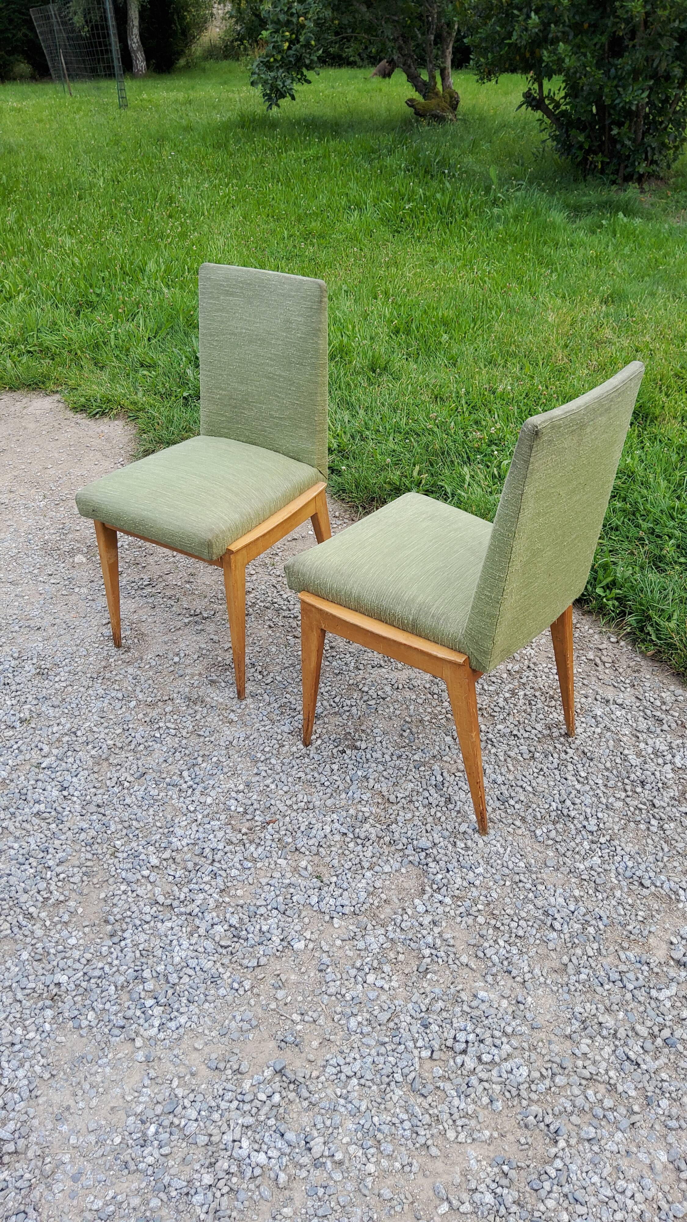 Pair of chairs from the 50s in sycamore tinted beech
