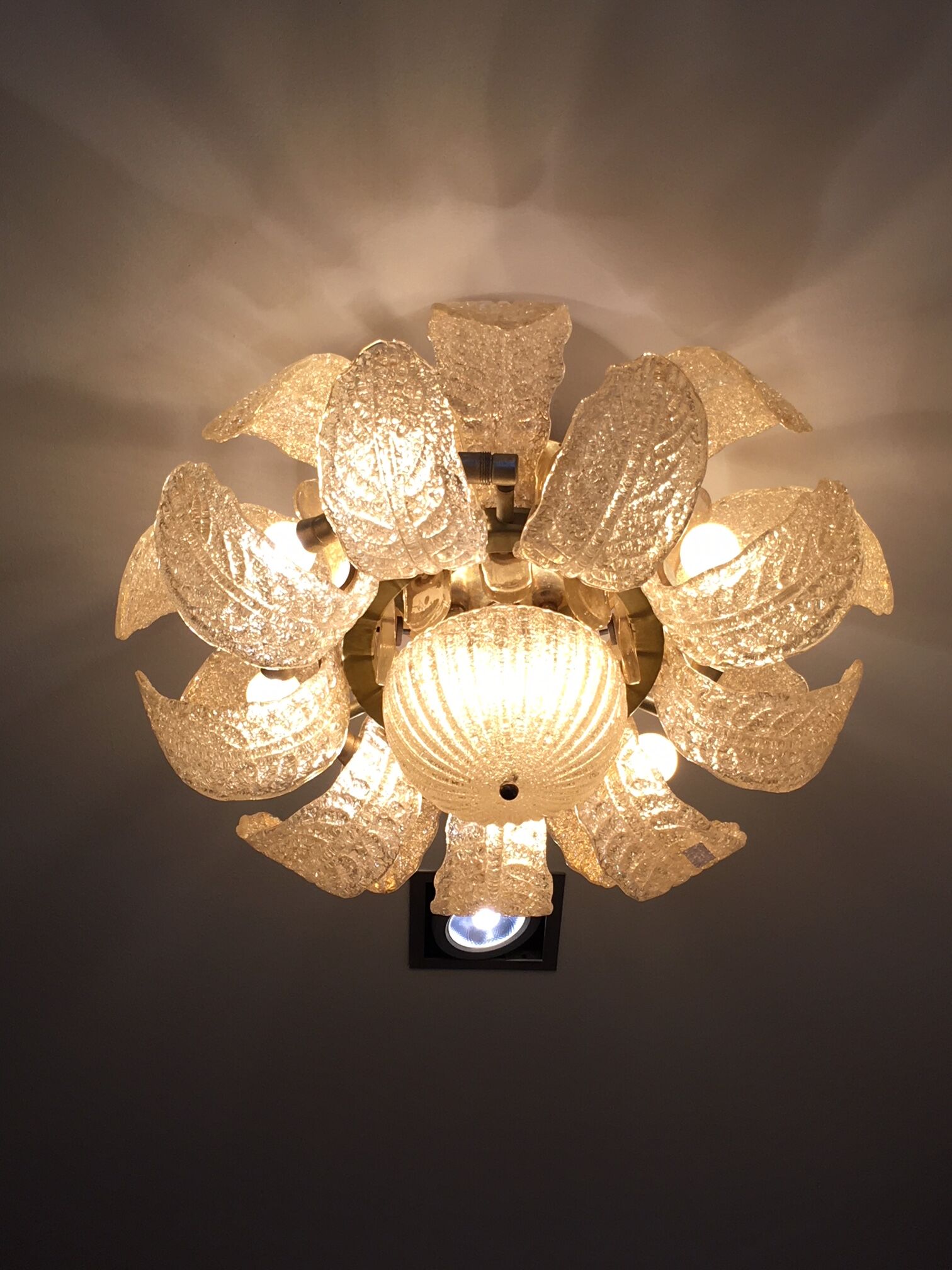 Ceiling light glass