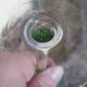 14cl Nancy Houillon crystal wine glass with green floral border