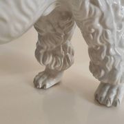 Mid-century poodle