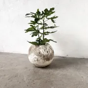 Spherical fibreglass planter, DLG Willy Guhl, 1960s