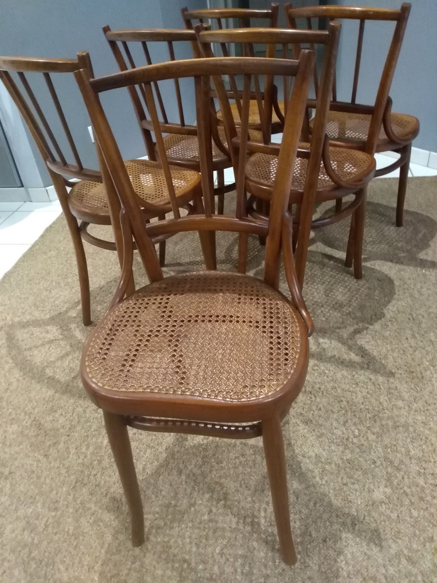 Suite of 6 chairs by Bistrot Austro-Hungarian Fium 1890