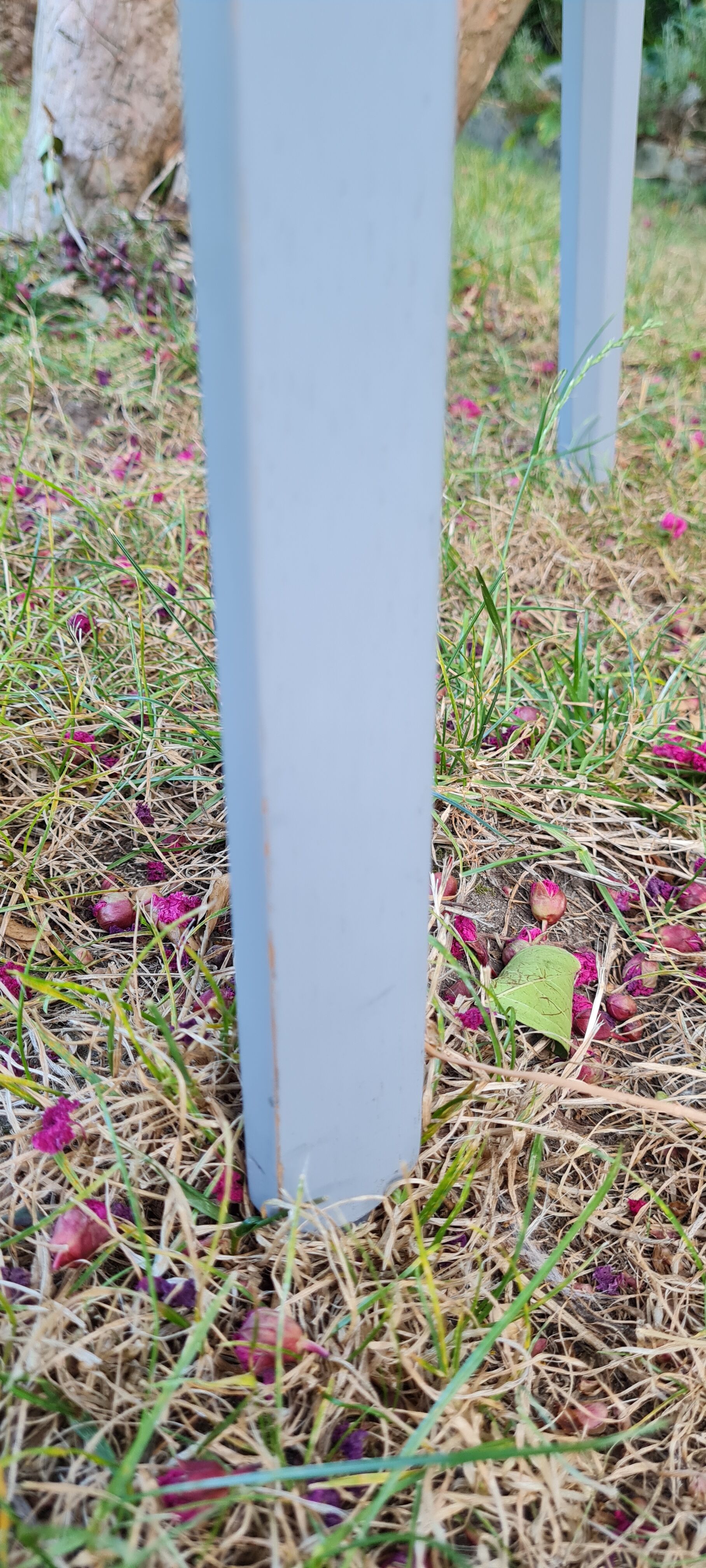 4 chairs Visu Muuto brand