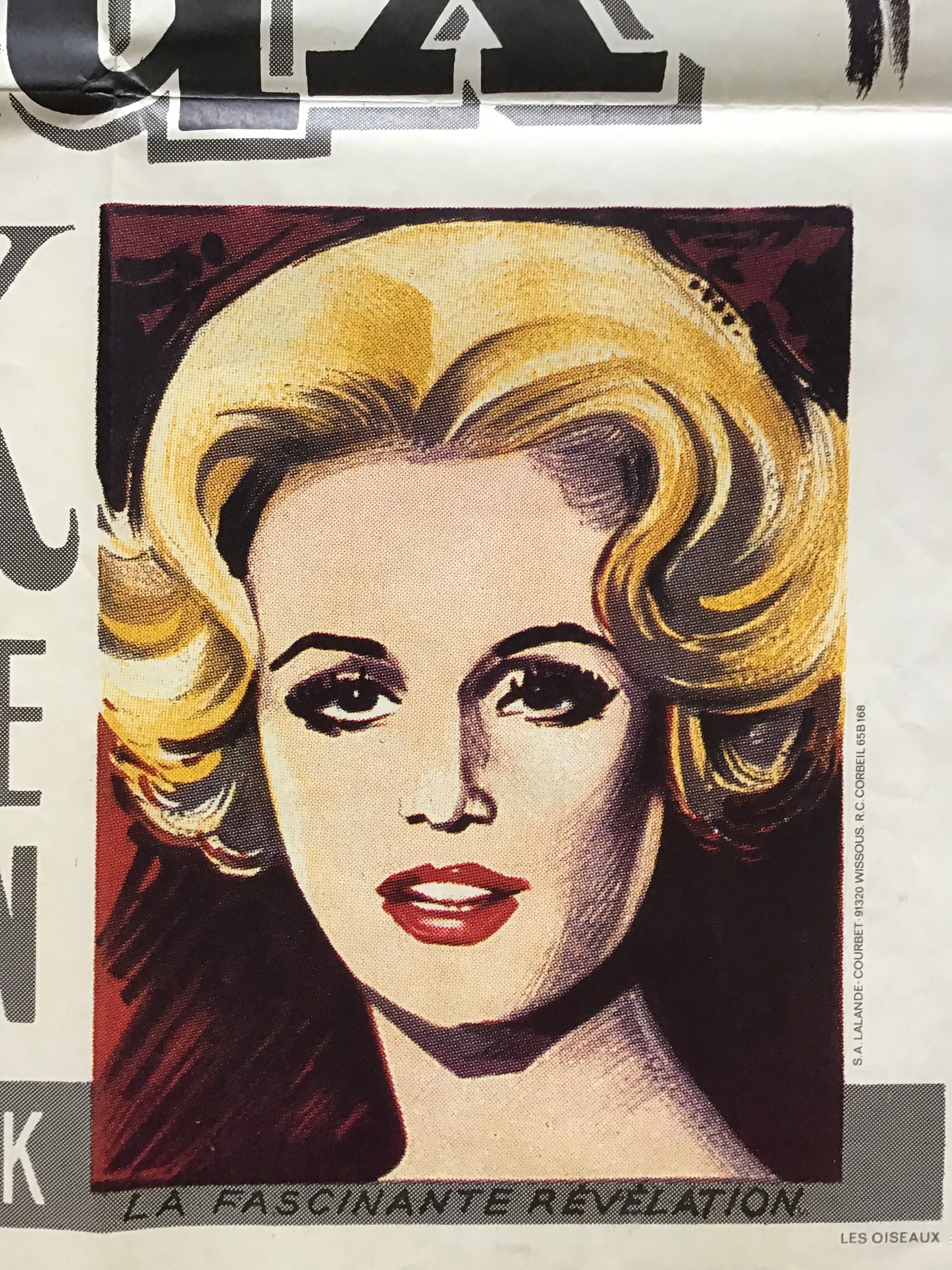 Original French cinema poster "Les Oiseaux" by Alfred Hitchcock - 120x160cm