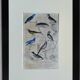 Planche Ornithologique originale " Pitpit bleu - Roitelet - Roitelet mésange - &c... " Buffon 1836