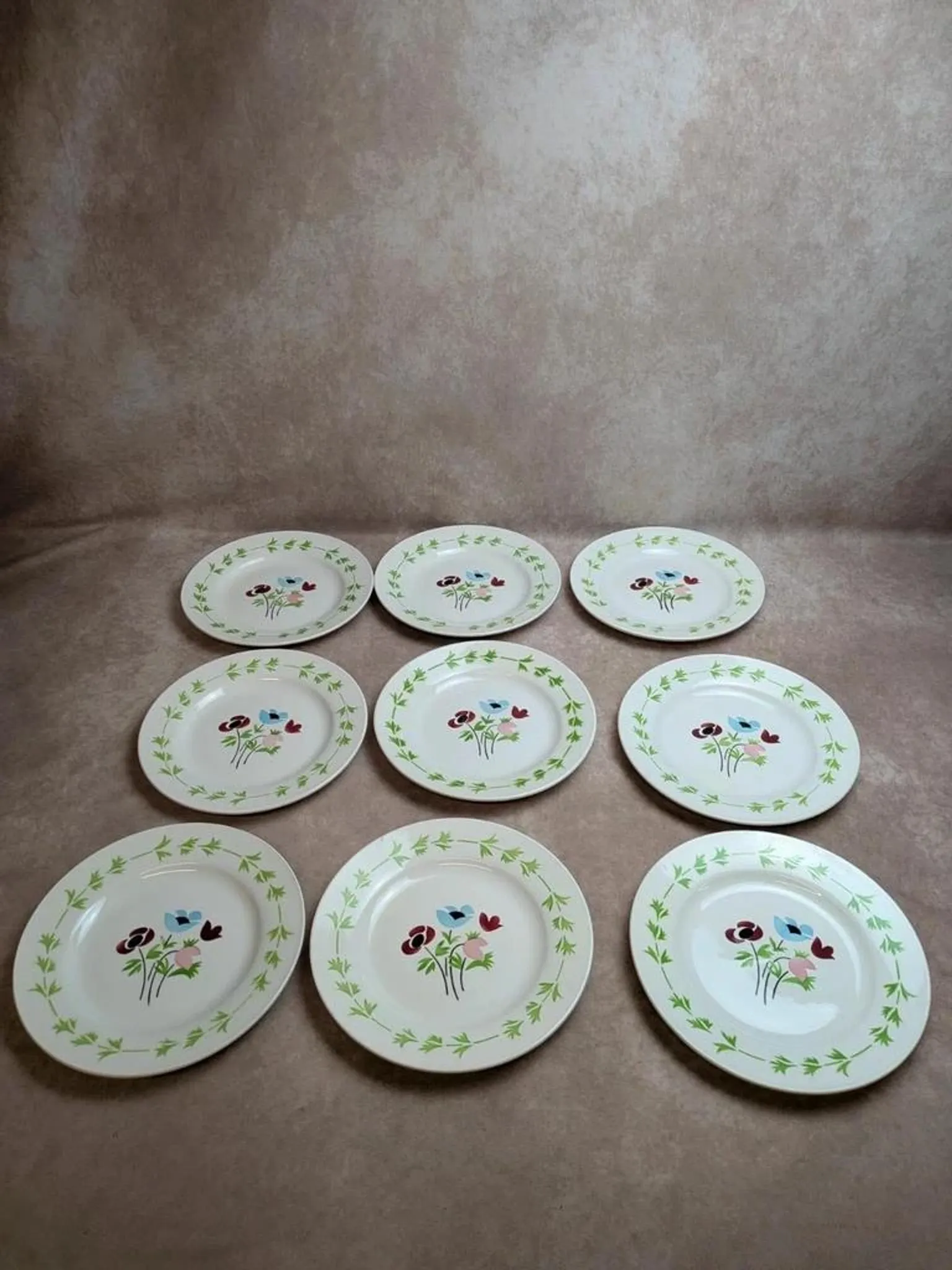 Set of 9 flat plates in ironstone Digoin Sarreguemines – Poupette model – Vintage
