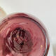 Ice pitcher carafe glassware Biot