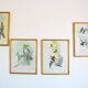 Set of 4 framed botanical and ornithological boards