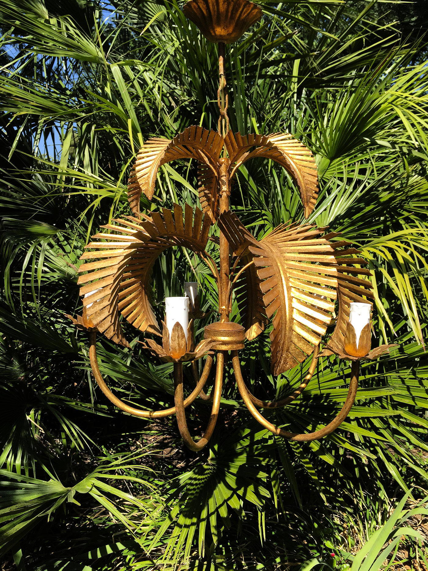 Lustre palmier doré par Hans Kogl circa 1960