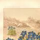 Antique engraving 1889 - Borage by Lefevre. Botanical flower lithograph