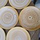 Set of 12 flat plates in stoneware Niderviller model Fauve from the 1960s.