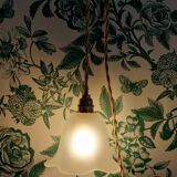 Suspension, glass lamp forming a tulip