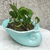 Shell pot cover cup