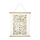 Displayed in colors representative of insects