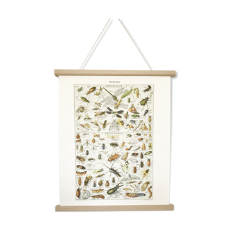 Displayed in colors representative of insects