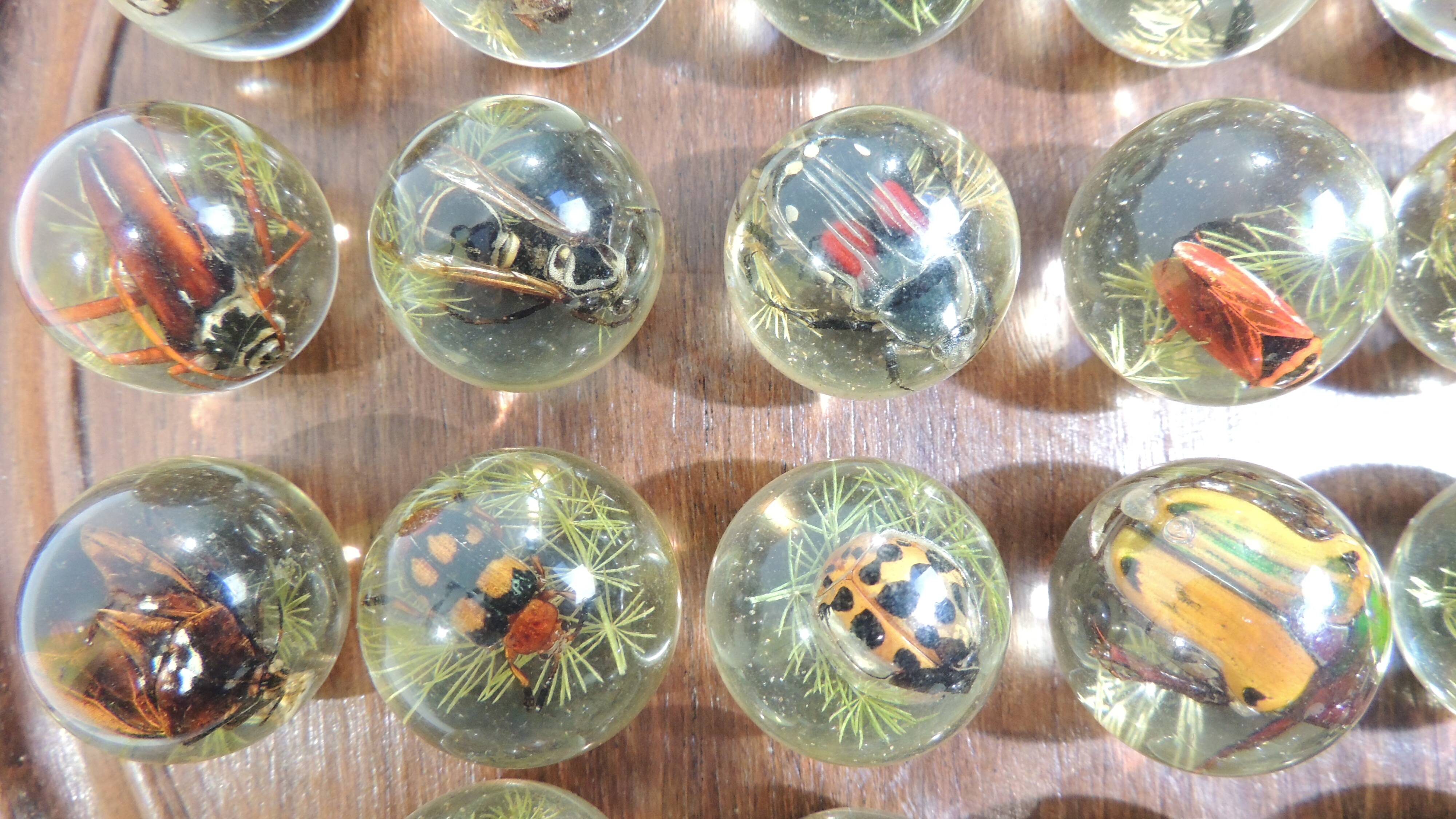Vintage wooden carved solitaire game – Resin balls with insects –