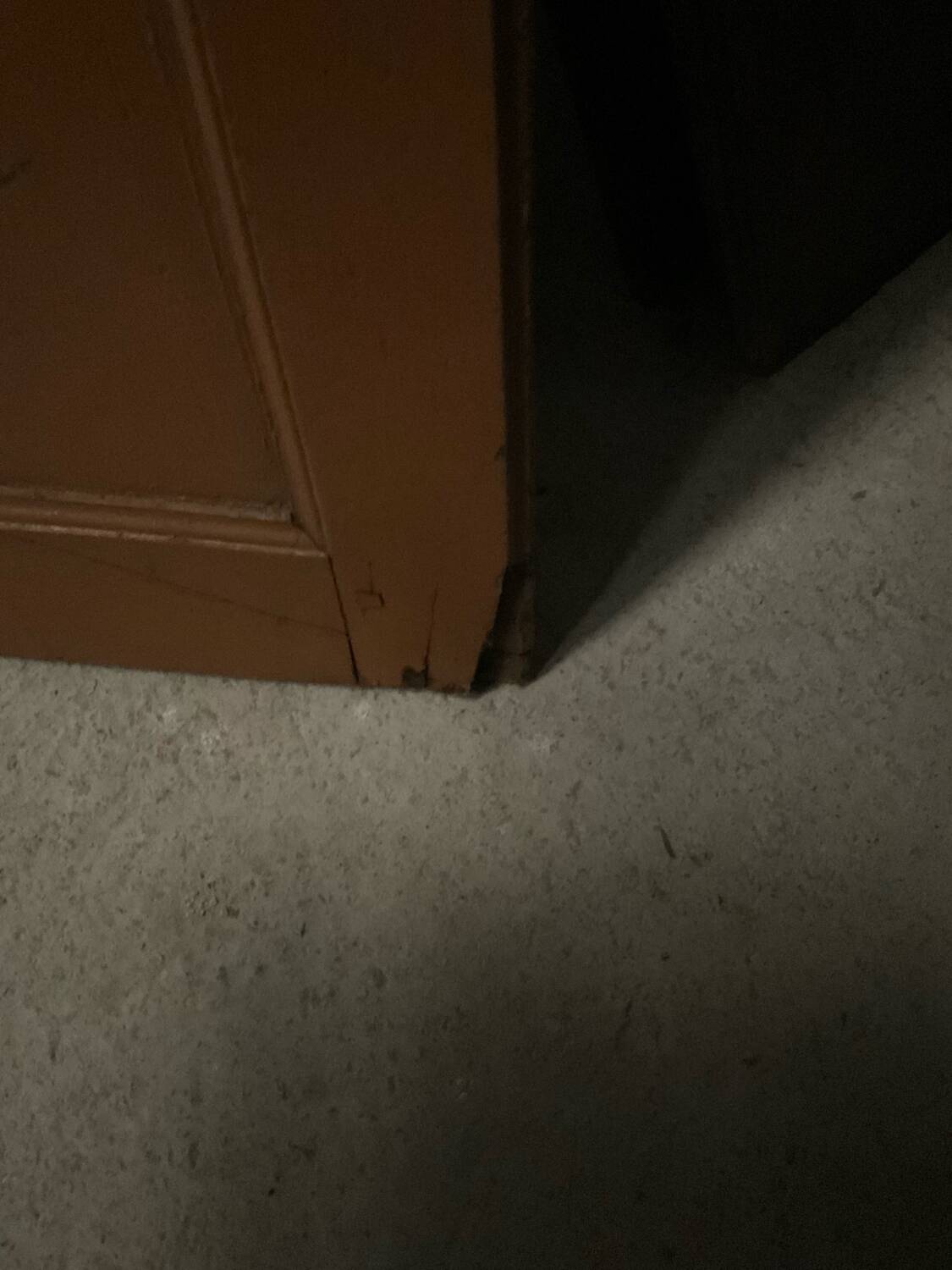 Old glass door L 92 x H 205