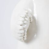 Valérie Courtet. Standing polar bear. Contemporary work