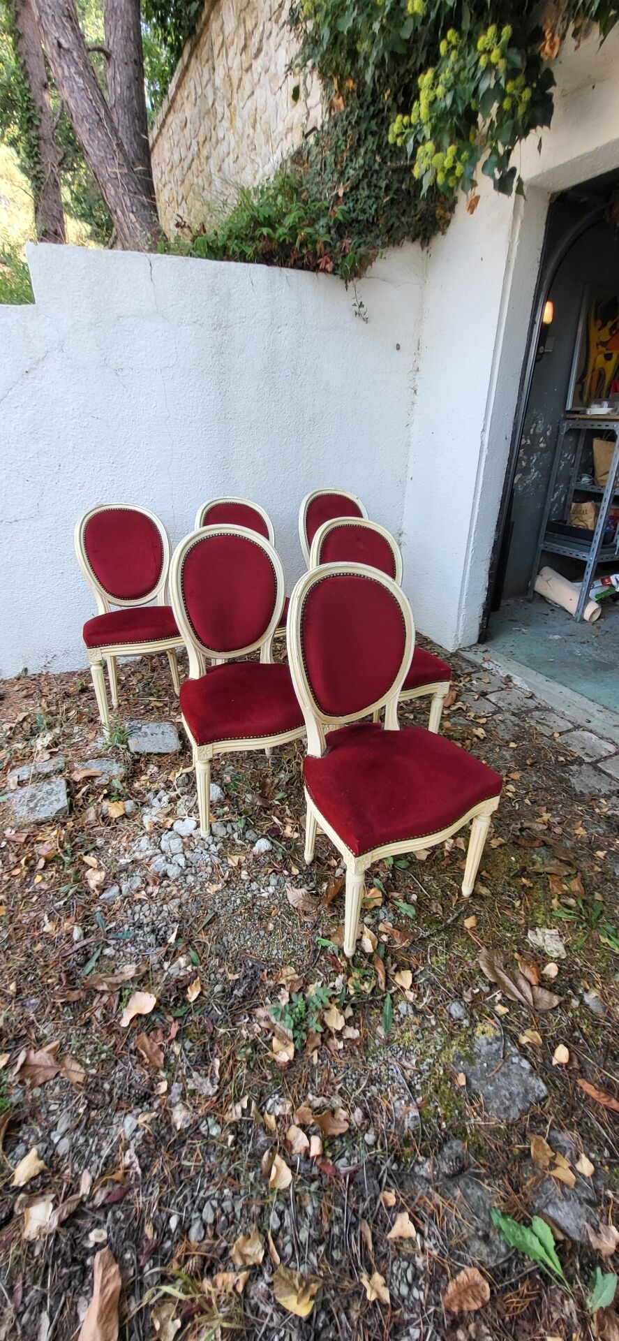 Velvet medallion chairs