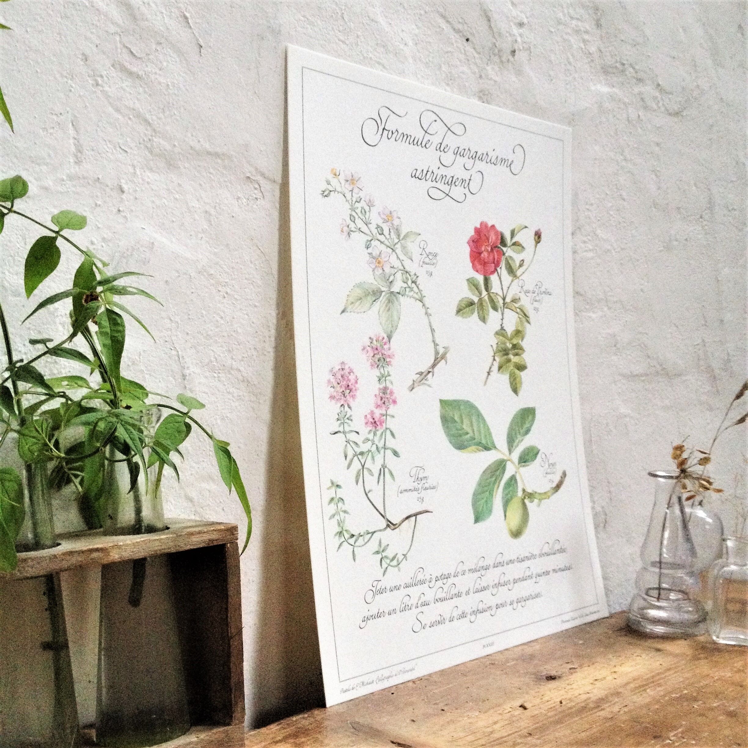 Botanical poster is a tisane