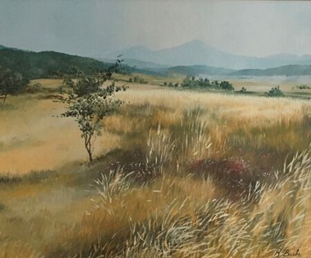 Nature table in summer