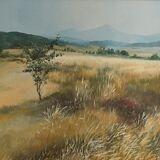 Nature table in summer