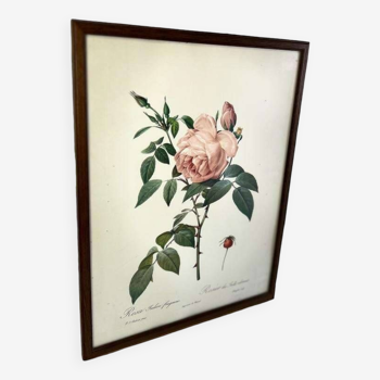 Vintage nature/flower/pink wall decor