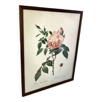 Déco murale vintage nature/fleur/rose