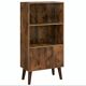 Mid-Century Modern Bookcase with Doors and Storage Cabinet, Rustic Brown