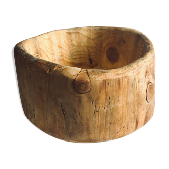 Fruit basket or large empty log pocket