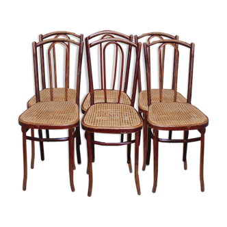 Series of 6 kohn bistro chairs curved wood and cannage
