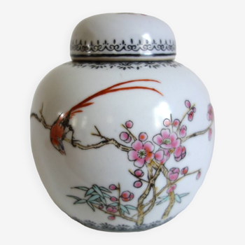 Tea pot/Ginger Famille Rose, Mun Shou Rose longevity